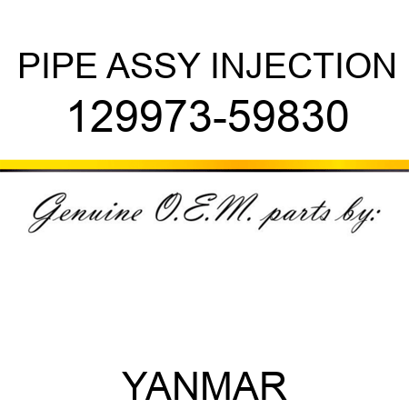 PIPE ASSY, INJECTION 129973-59830