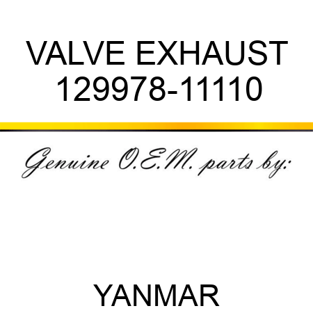 VALVE, EXHAUST 129978-11110
