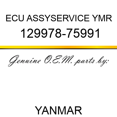 ECU ASSY,SERVICE YMR 129978-75991