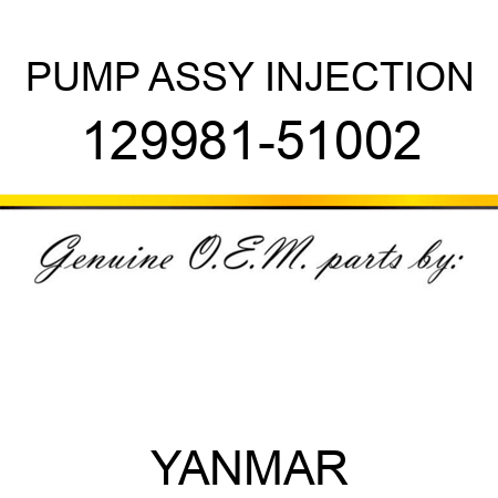 PUMP ASSY, INJECTION 129981-51002