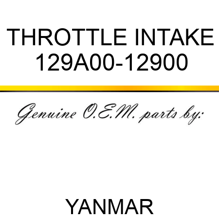THROTTLE, INTAKE 129A00-12900