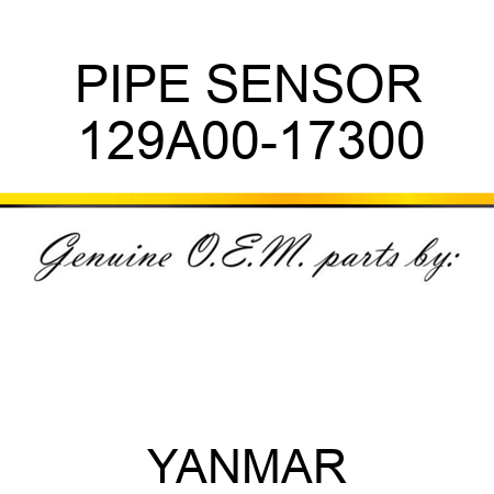 PIPE, SENSOR 129A00-17300