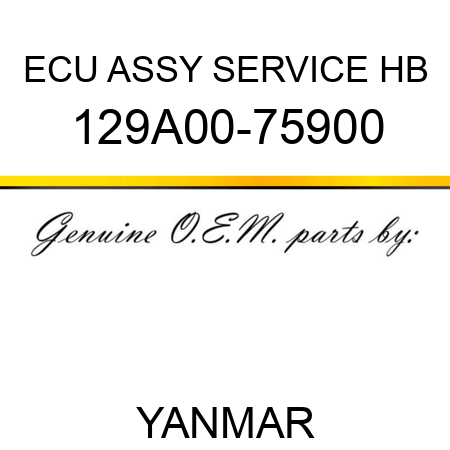 ECU ASSY, SERVICE HB 129A00-75900