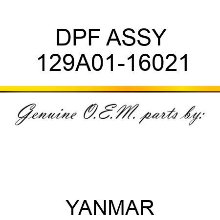 DPF ASSY 129A01-16021