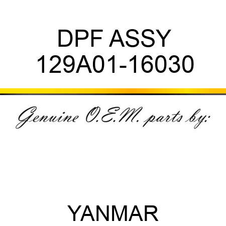 DPF ASSY 129A01-16030