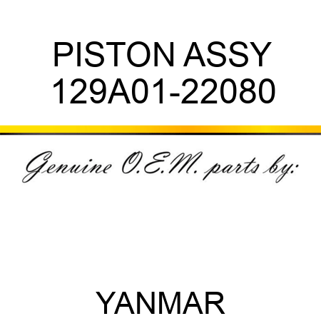 PISTON ASSY 129A01-22080