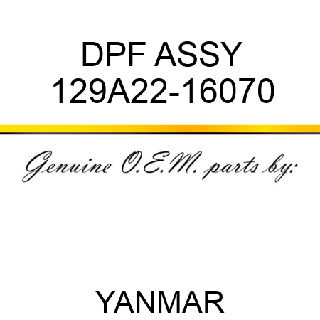 DPF ASSY 129A22-16070
