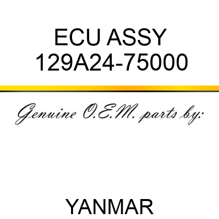ECU ASSY 129A24-75000