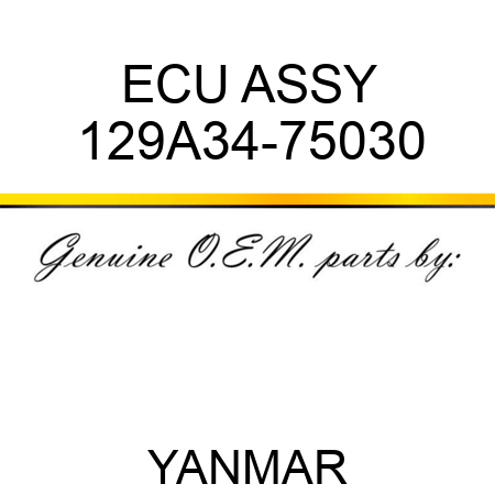 ECU ASSY 129A34-75030