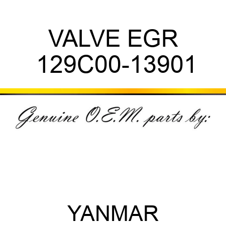 VALVE, EGR 129C00-13901