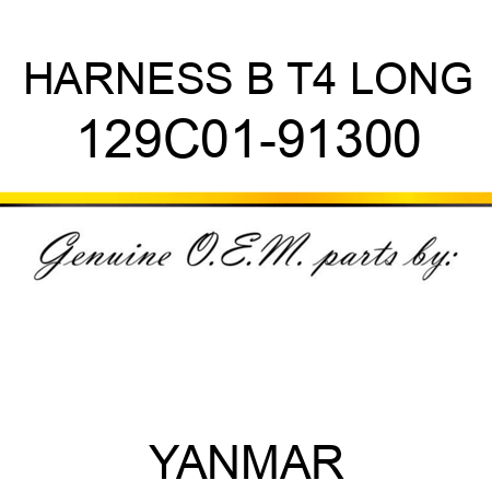 HARNESS, B T4 LONG 129C01-91300