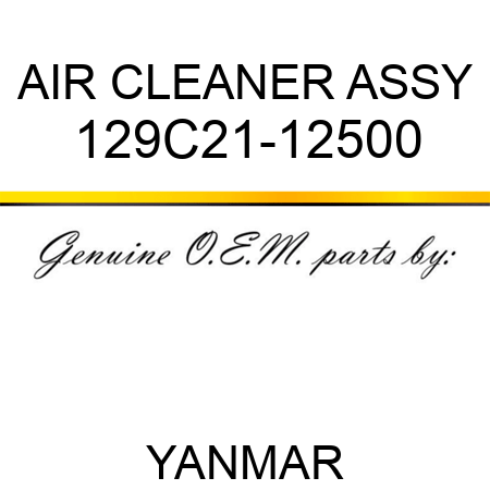 AIR CLEANER ASSY 129C21-12500