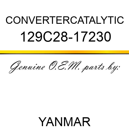 CONVERTER,CATALYTIC 129C28-17230