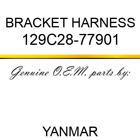 BRACKET, HARNESS 129C28-77901