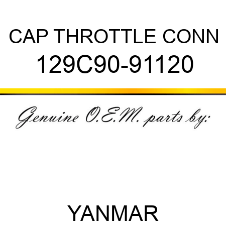 CAP, THROTTLE CONN 129C90-91120