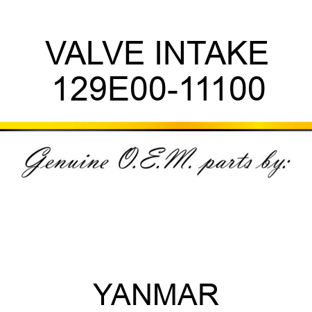 VALVE, INTAKE 129E00-11100