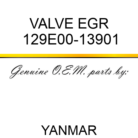 VALVE, EGR 129E00-13901