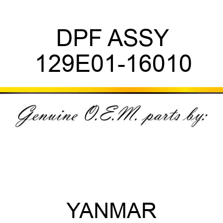 DPF ASSY 129E01-16010