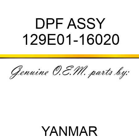 DPF ASSY 129E01-16020