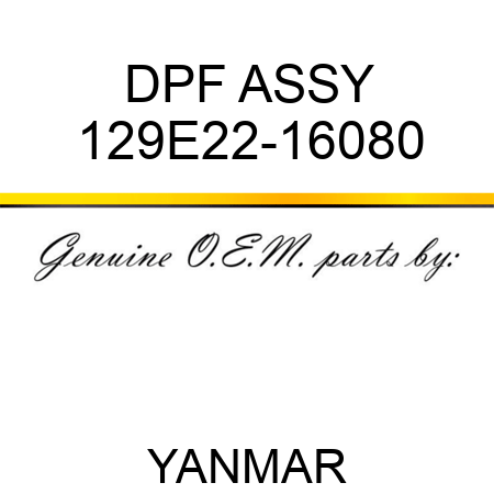 DPF ASSY 129E22-16080