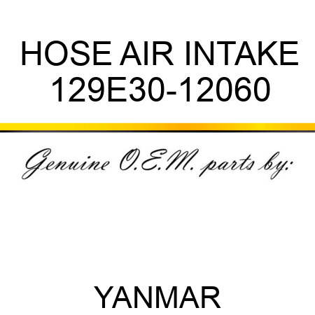 HOSE, AIR INTAKE 129E30-12060