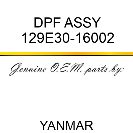 DPF ASSY 129E30-16002