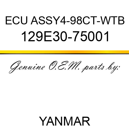 ECU ASSY,4-98CT-WTB 129E30-75001