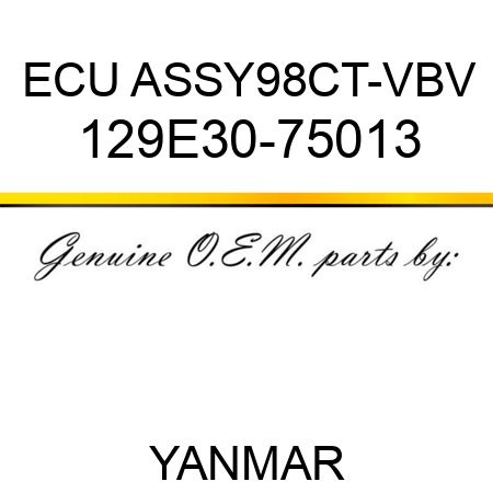 ECU ASSY,98CT-VBV 129E30-75013