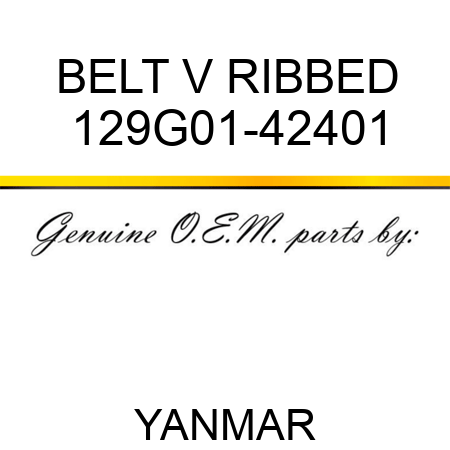 BELT, V RIBBED 129G01-42401