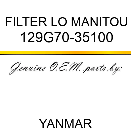 FILTER, LO MANITOU 129G70-35100