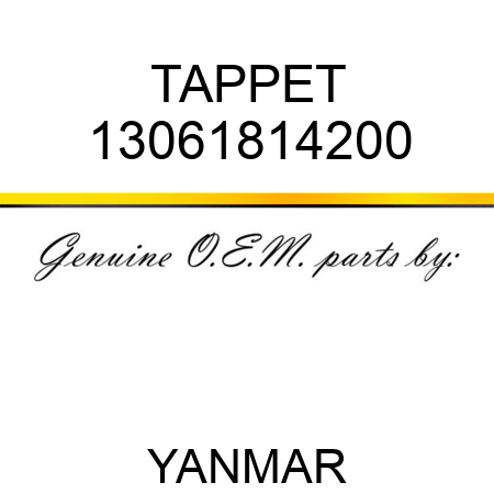 TAPPET 13061814200