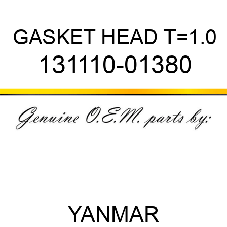 GASKET, HEAD T=1.0 131110-01380