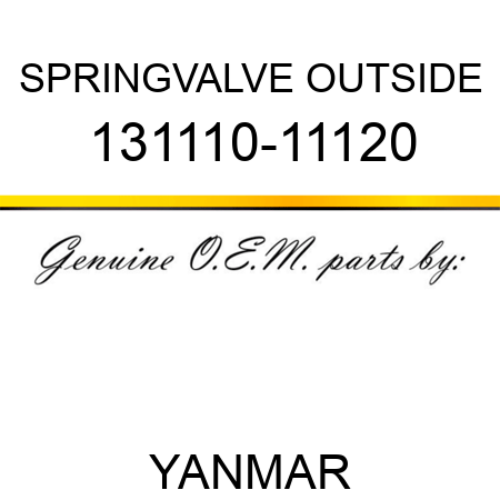 SPRING,VALVE OUTSIDE 131110-11120