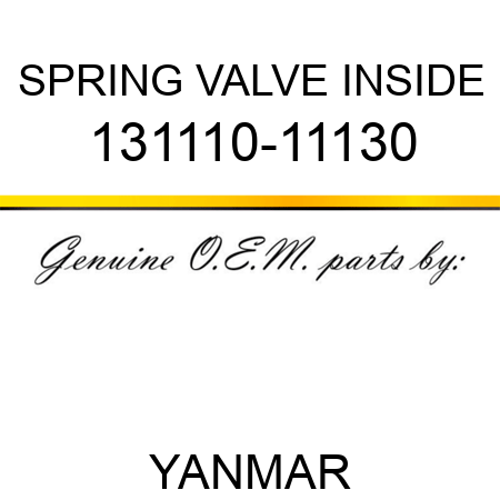 SPRING, VALVE INSIDE 131110-11130