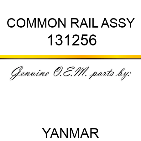 COMMON RAIL ASSY 131256