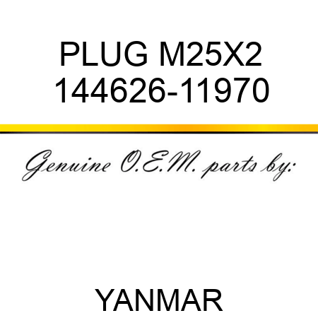 PLUG, M25X2 144626-11970