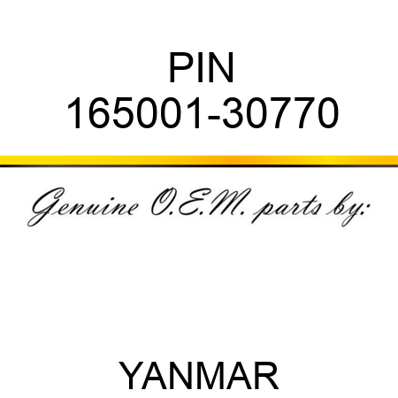 PIN 165001-30770
