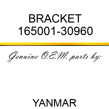BRACKET 165001-30960