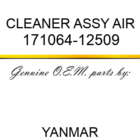 CLEANER ASSY, AIR 171064-12509