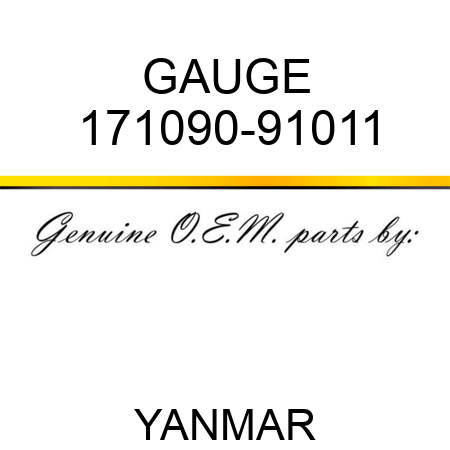GAUGE 171090-91011