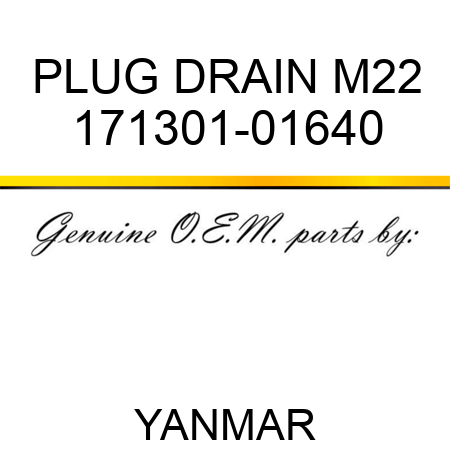 PLUG, DRAIN M22 171301-01640