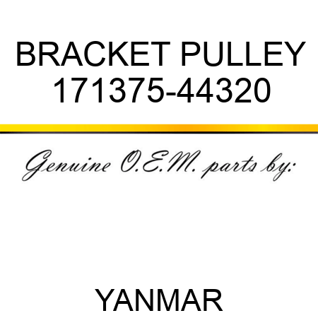 BRACKET, PULLEY 171375-44320