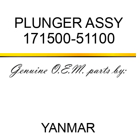 PLUNGER ASSY 171500-51100