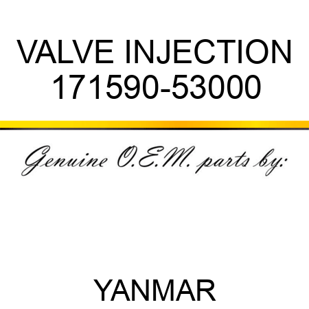 VALVE, INJECTION 171590-53000