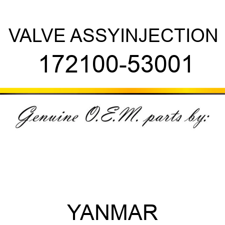 VALVE ASSY,INJECTION 172100-53001