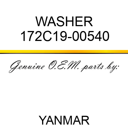 WASHER 172C19-00540