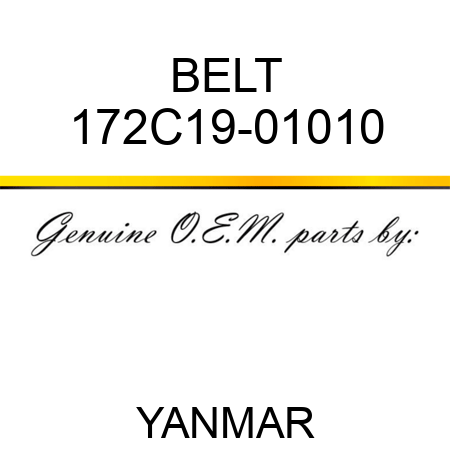 BELT 172C19-01010