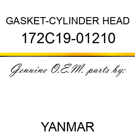 GASKET-CYLINDER HEAD 172C19-01210