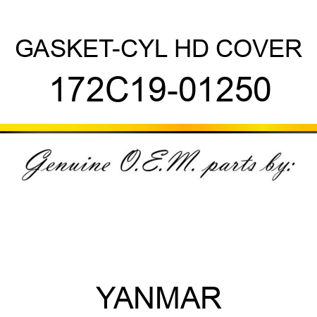 GASKET-CYL HD COVER 172C19-01250