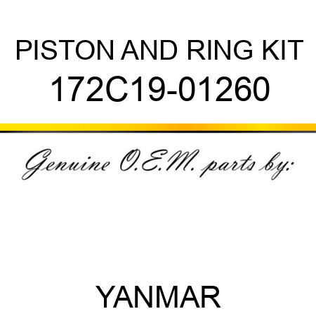 PISTON AND RING KIT 172C19-01260
